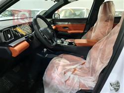 بی وای دی ‎سۆنگ پرۆ DM-i